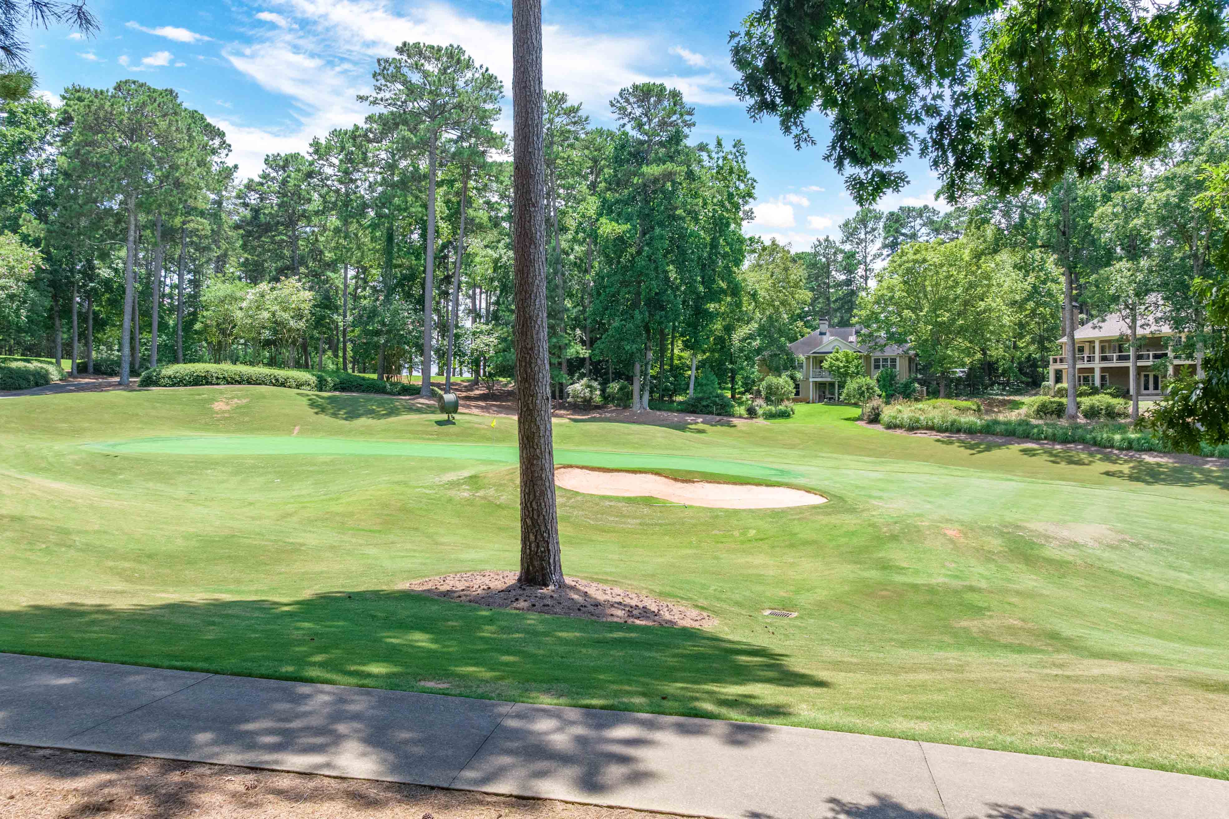 1131 Scull Shoals Drive image 49